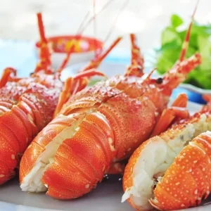 Tôm Hùm Biển